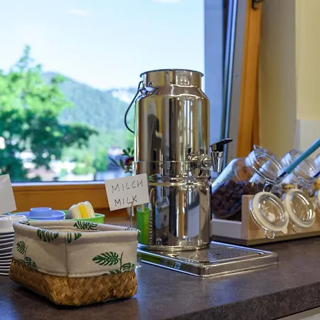 Luise Wehrenfennig & Haus Eva Bad Goisern