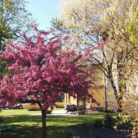 Gæstehus Luise Wehrenfennig & Haus Eva Bad Goisern