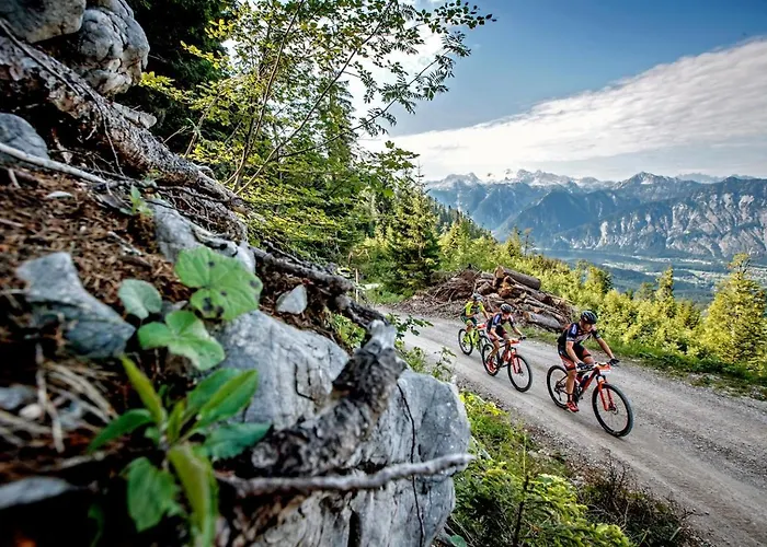 Luise Wehrenfennig & Haus Eva Affittacamere Bad Goisern