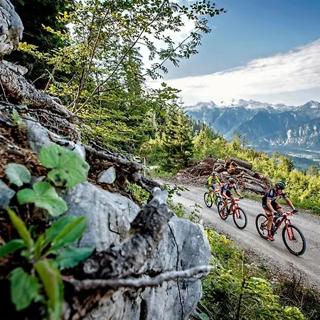 Luise Wehrenfennig & Haus Eva Guest house Bad Goisern